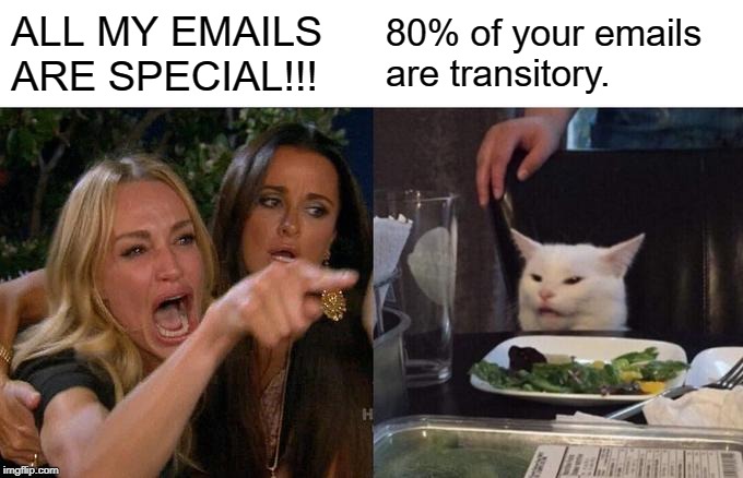 ALL MY EMAILS ARE SPECIAL! 80% of your emails are transitory.