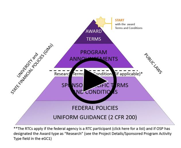 Watch Hierarchy Pyramid