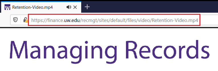 screenshot of video file link showing in browser address bar
