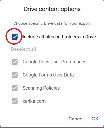 Popup window with a blue checkmark next to 'Include all files and folders in Drive' selected.The checkmark is circled in red. All options below it are greyed out and users are unable to click them.