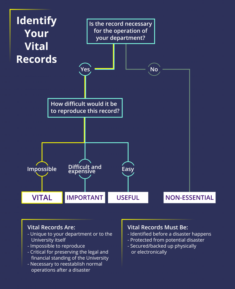 Examples Of Vital Records MeaningHippo