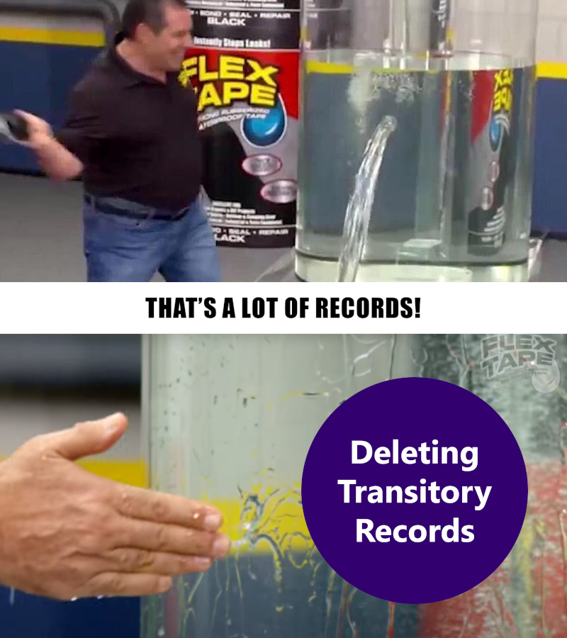 delete your transitory records