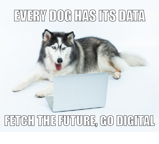 a husky laying on the floor looking at a laptop against a white background text meme style reads every dog has its data fetch the future go digital