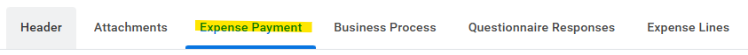Expense Report tabs